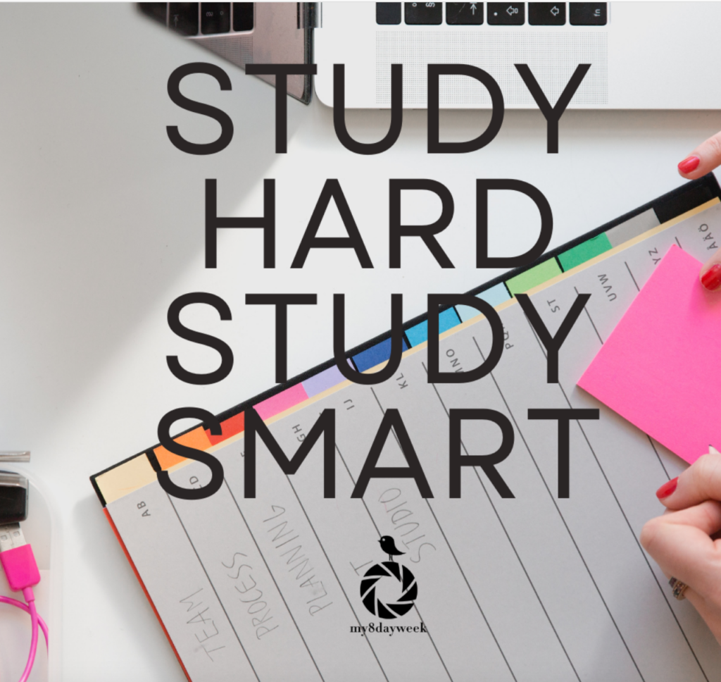 Study Hard, Study Smart - Study Journal - Showit Blog